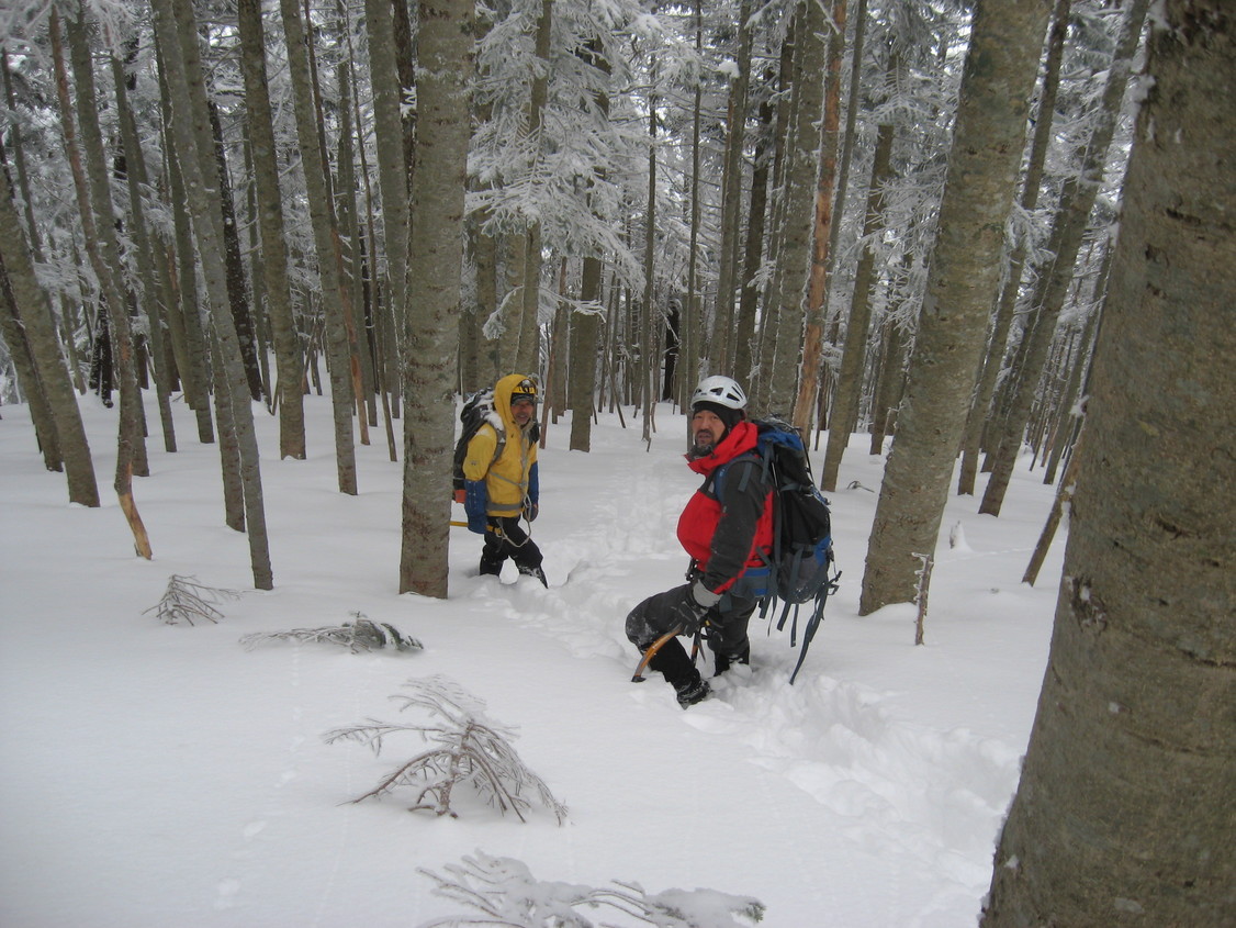 �m�d�s�R�x��h�g�`�k�t�h