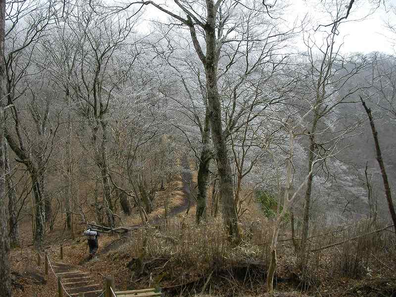 �m�d�s�R�x��h�g�`�k�t�h