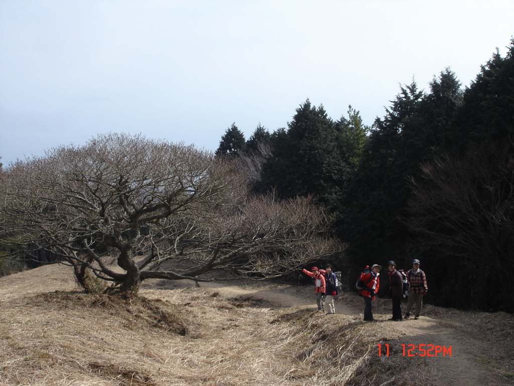 �m�d�s�R�x��h�g�`�k�t�h