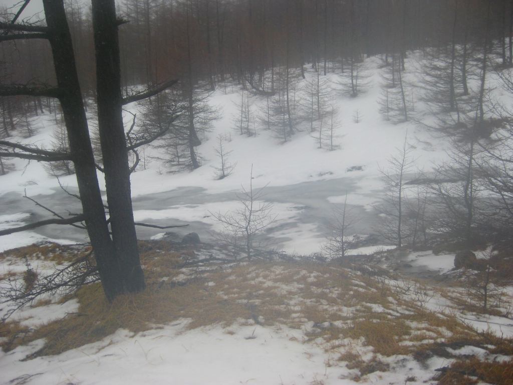 �m�d�s�R�x��h�g�`�k�t�h