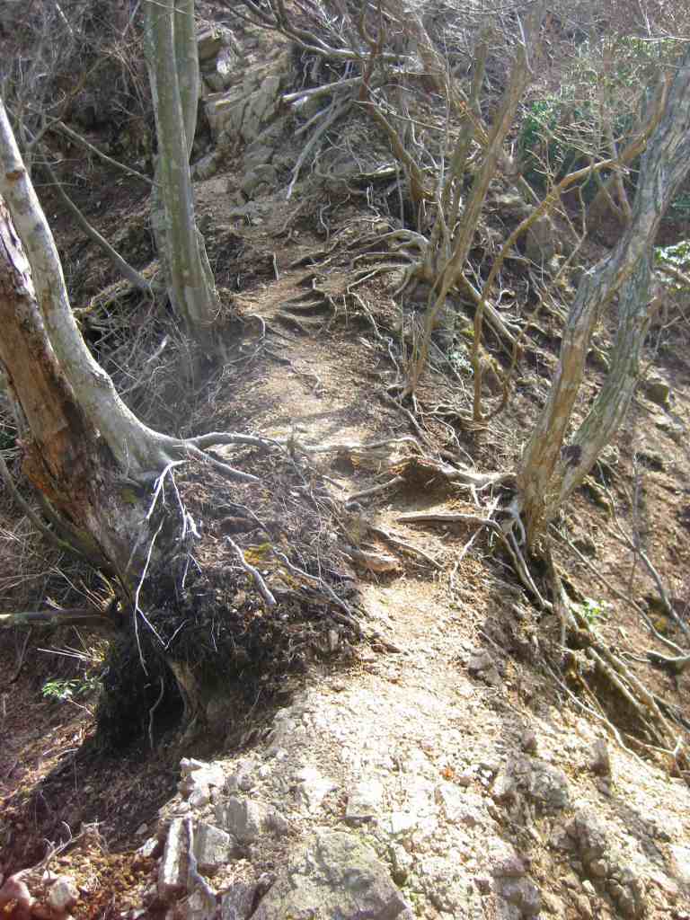 �m�d�s�R�x��h�g�`�k�t�h