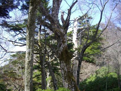 �m�d�s�R�x��h�g�`�k�t�h