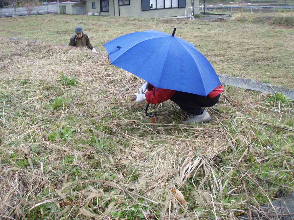 �m�d�s�R�x��h�g�`�k�t�h