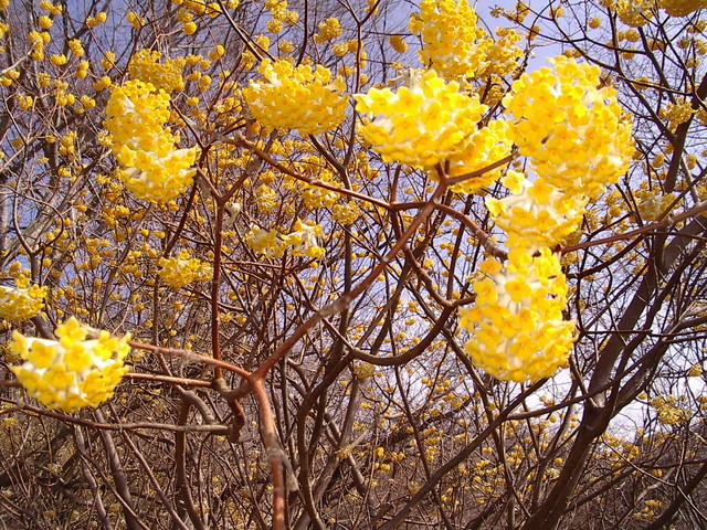 �m�d�s�R�x��h�g�`�k�t�h