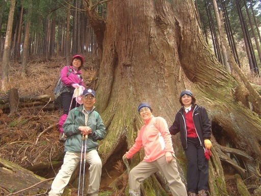 �m�d�s�R�x��h�g�`�k�t�h