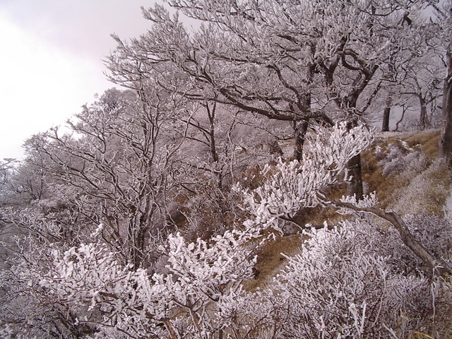 �m�d�s�R�x��h�g�`�k�t�h