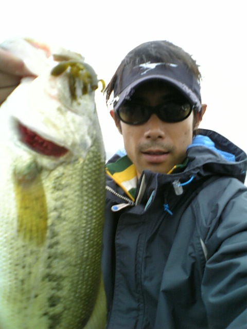 Love Fish!-Season�Y-