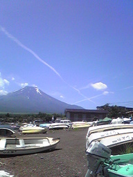 Love Fish!-Season�Y-