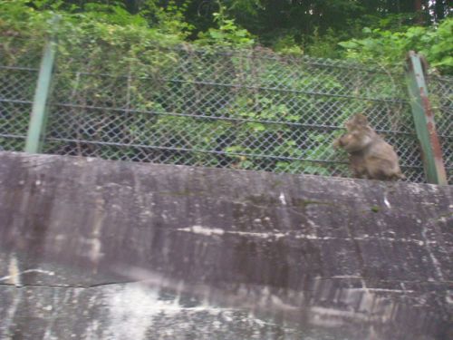 ���܂̂��Ⴍ�ȃy�[�W�i�����̃z�[���y�[�W�j