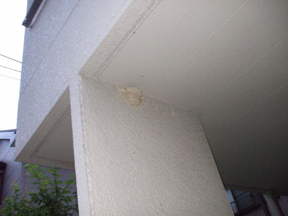 ���܂̂��Ⴍ�ȃy�[�W�i�����̃z�[���y�[�W�j