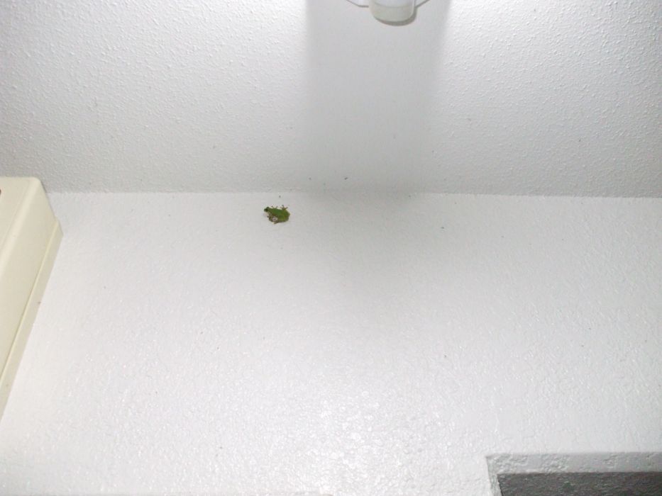 ���܂̂��Ⴍ�ȃy�[�W�i�����̃z�[���y�[�W�j