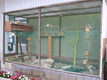 ���܂̂��Ⴍ�ȃy�[�W�i�����̃z�[���y�[�W�j