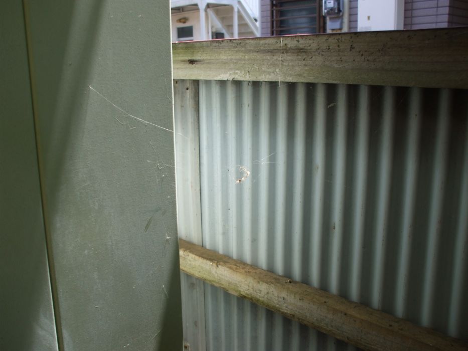 ���܂̂��Ⴍ�ȃy�[�W�i�����̃z�[���y�[�W�j