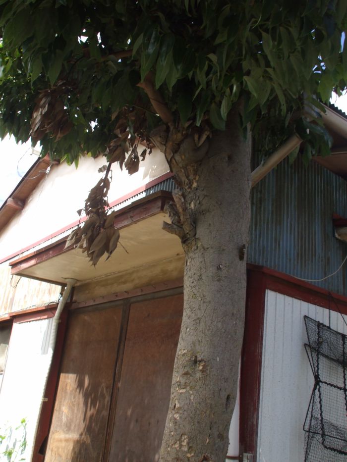 ���܂̂��Ⴍ�ȃy�[�W�i�����̃z�[���y�[�W�j