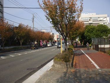 ���܂̂��Ⴍ�ȃy�[�W�i�����̃z�[���y�[�W�j