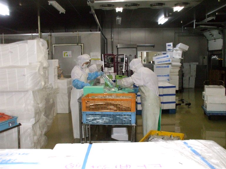 ���܂̂��Ⴍ�ȃy�[�W�i�����̃z�[���y�[�W�j