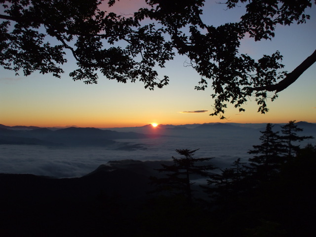 ���܂̂��Ⴍ�ȃy�[�W�i�����̃z�[���y�[�W�j