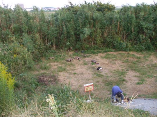 ���܂̂��Ⴍ�ȃy�[�W�i�����̃z�[���y�[�W�j