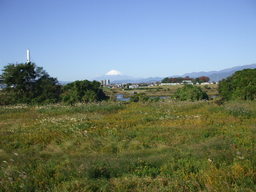 ���܂̂��Ⴍ�ȃy�[�W�i�����̃z�[���y�[�W�j