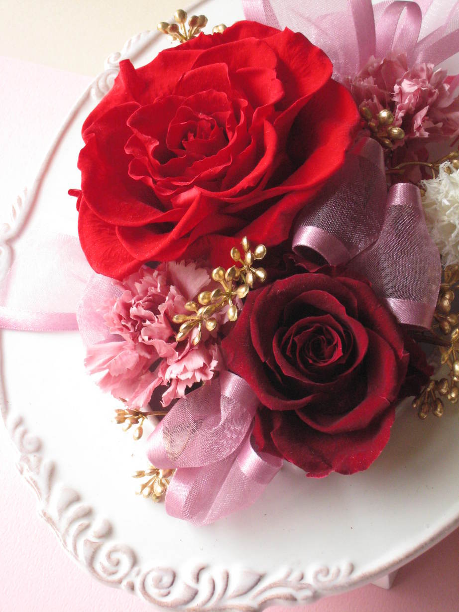 �A���u���b�W���[�Y�@�y�t�����[�A�����W�����g�X�N�[���z