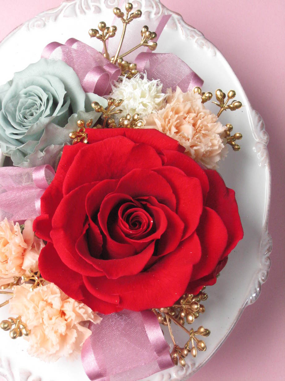 �A���u���b�W���[�Y�@�y�t�����[�A�����W�����g�X�N�[���z