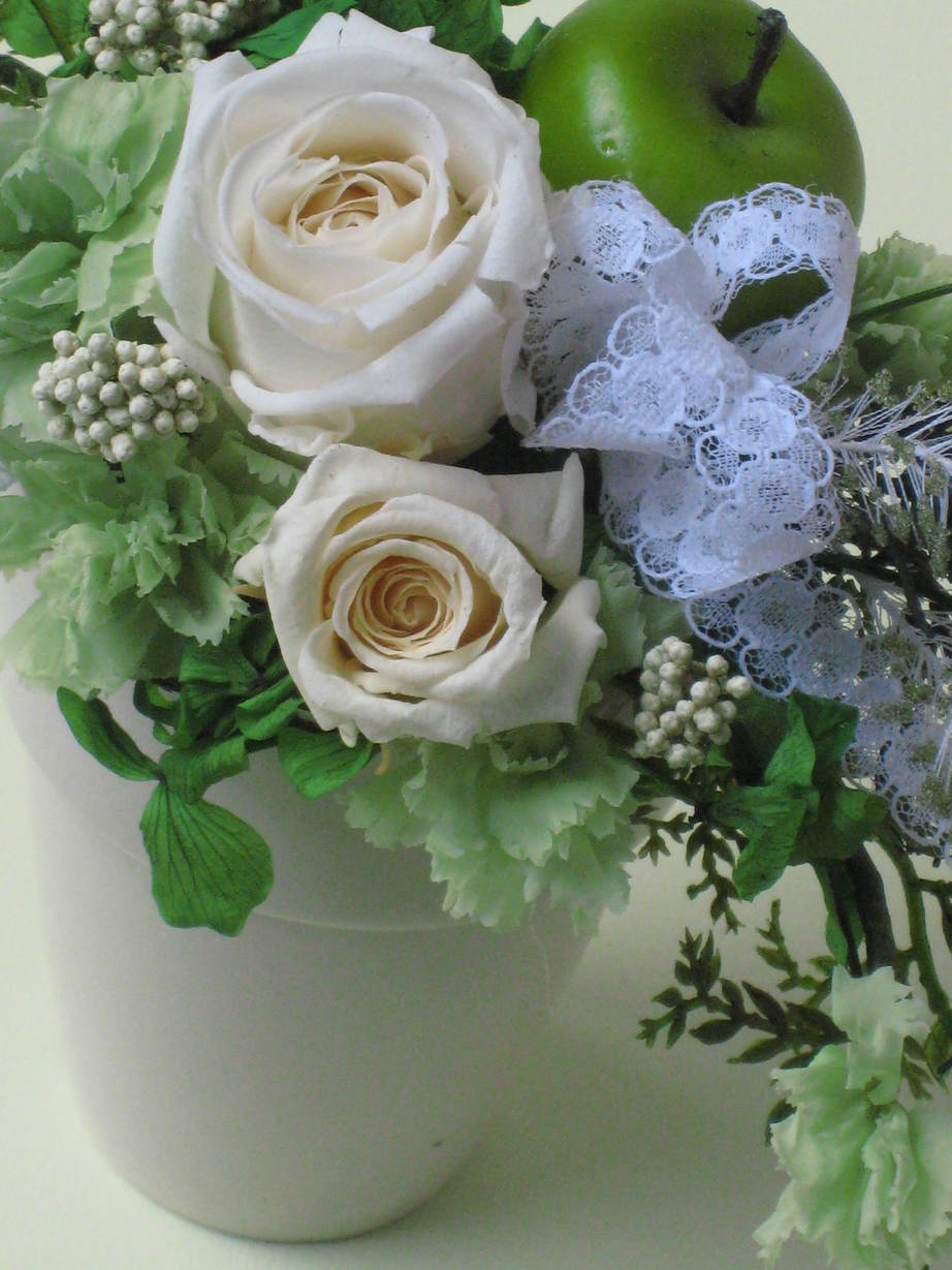 �A���u���b�W���[�Y�@�y�t�����[�A�����W�����g�X�N�[���z