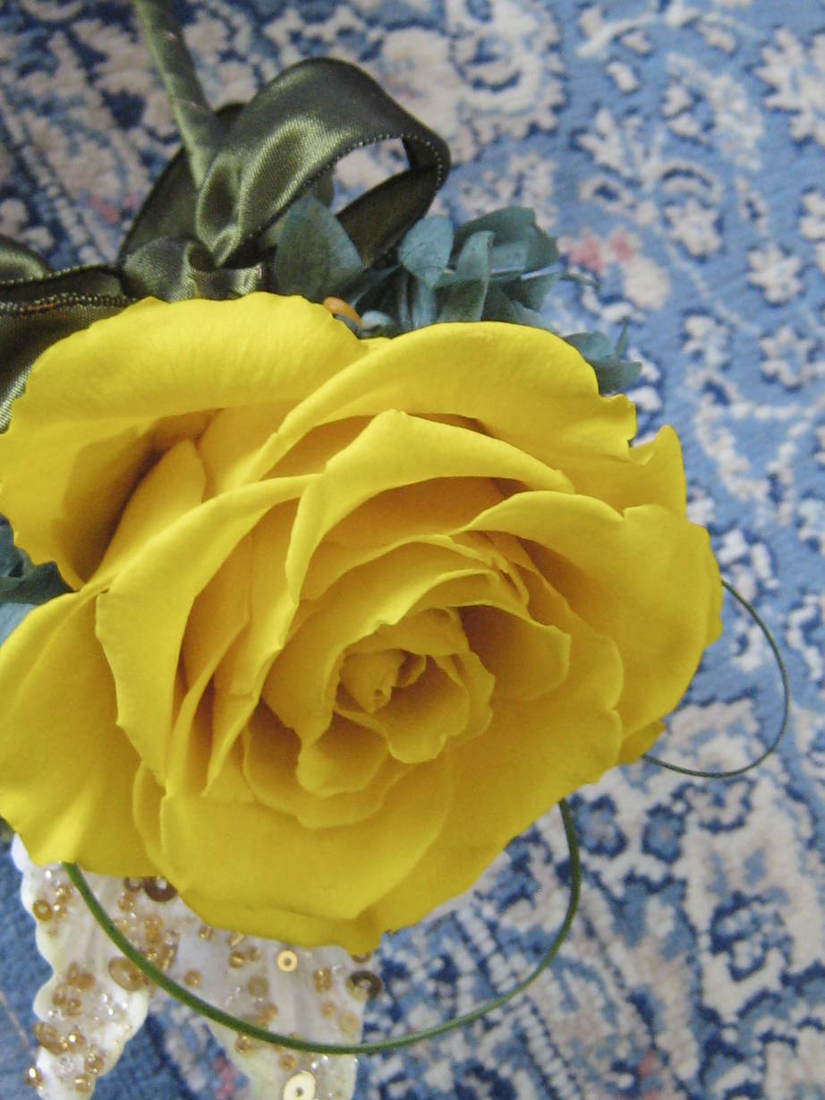 �A���u���b�W���[�Y�@�y�t�����[�A�����W�����g�X�N�[���z