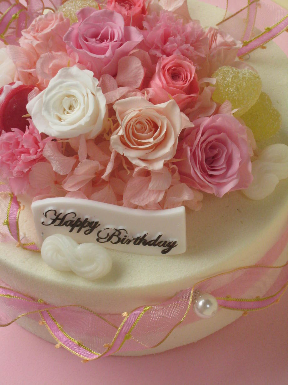 �A���u���b�W���[�Y�@�y�t�����[�A�����W�����g�X�N�[���z