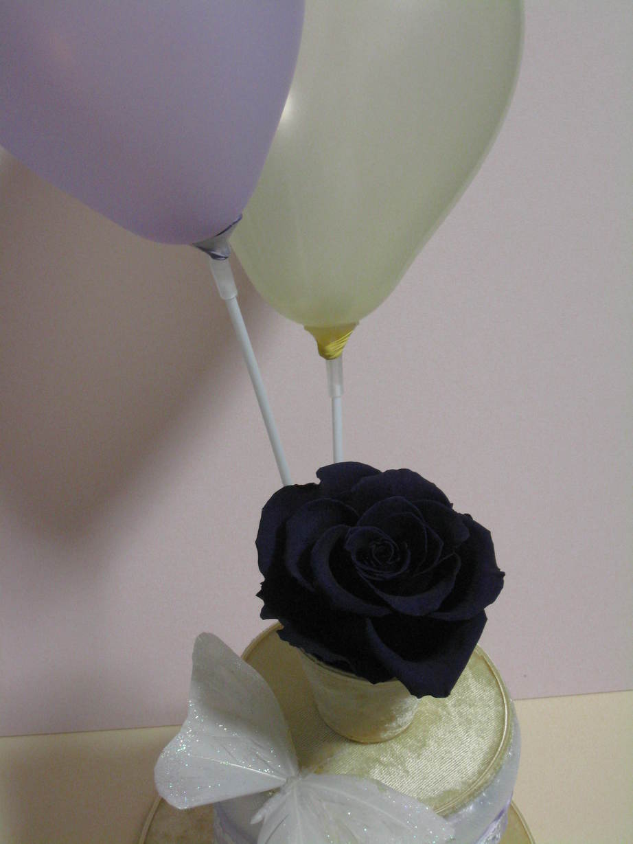 �A���u���b�W���[�Y�@�y�t�����[�A�����W�����g�X�N�[���z