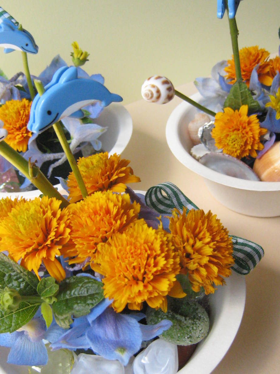 �A���u���b�W���[�Y�@�y�t�����[�A�����W�����g�X�N�[���z