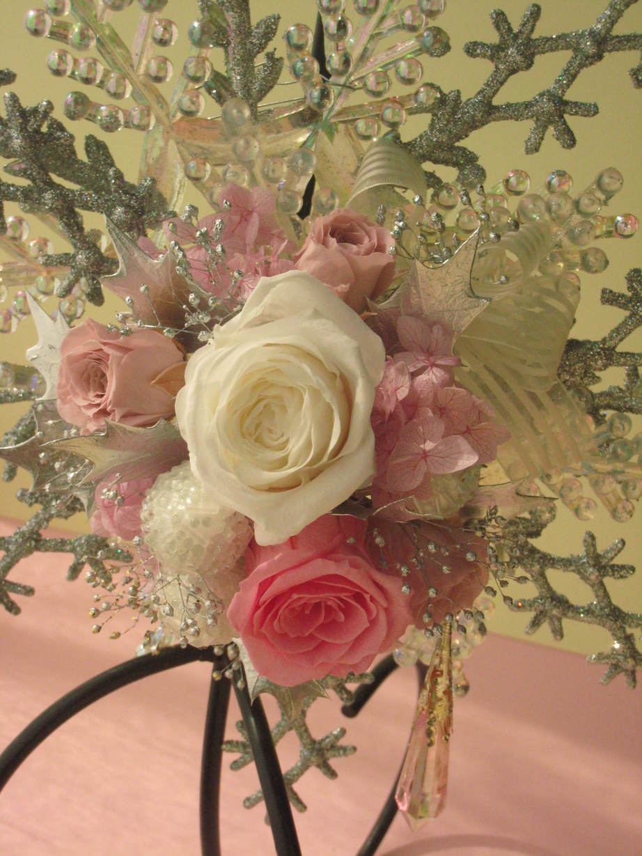 �A���u���b�W���[�Y�@�y�t�����[�A�����W�����g�X�N�[���z