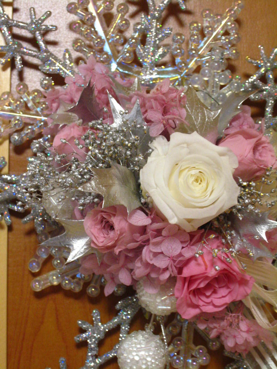 �A���u���b�W���[�Y�@�y�t�����[�A�����W�����g�X�N�[���z