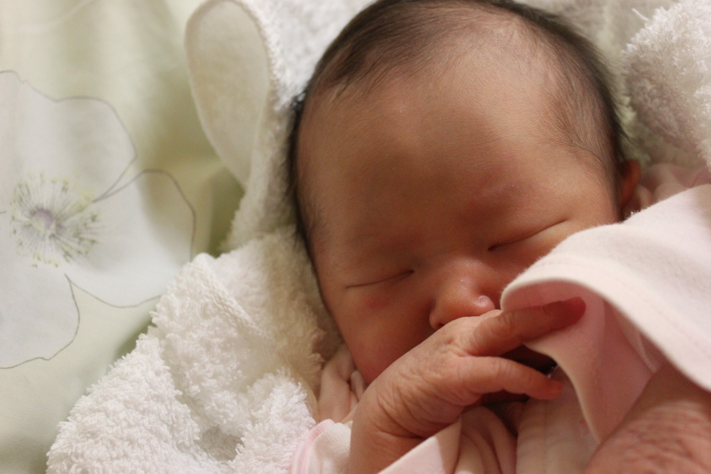 �A���u���b�W���[�Y�@�y�t�����[�A�����W�����g�X�N�[���z