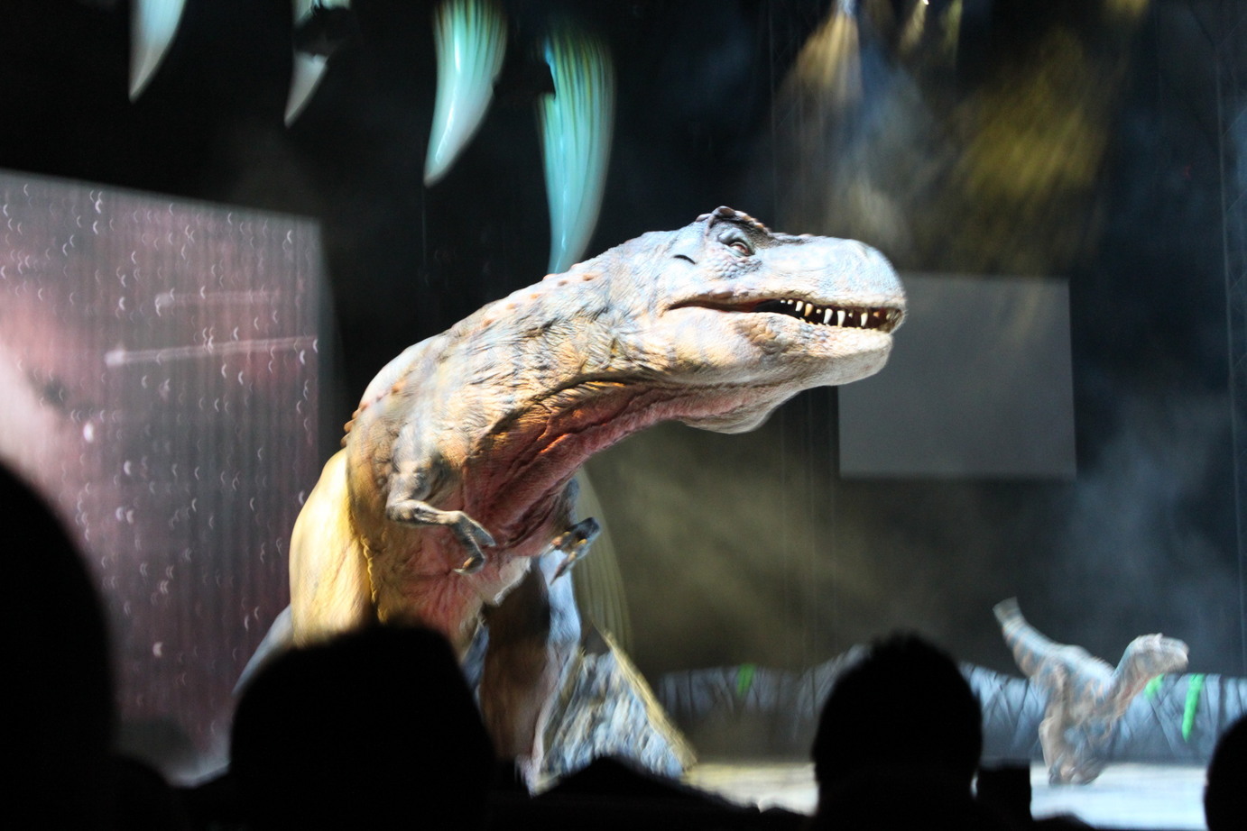 �A���u���b�W���[�Y�@�y�t�����[�A�����W�����g�X�N�[���z