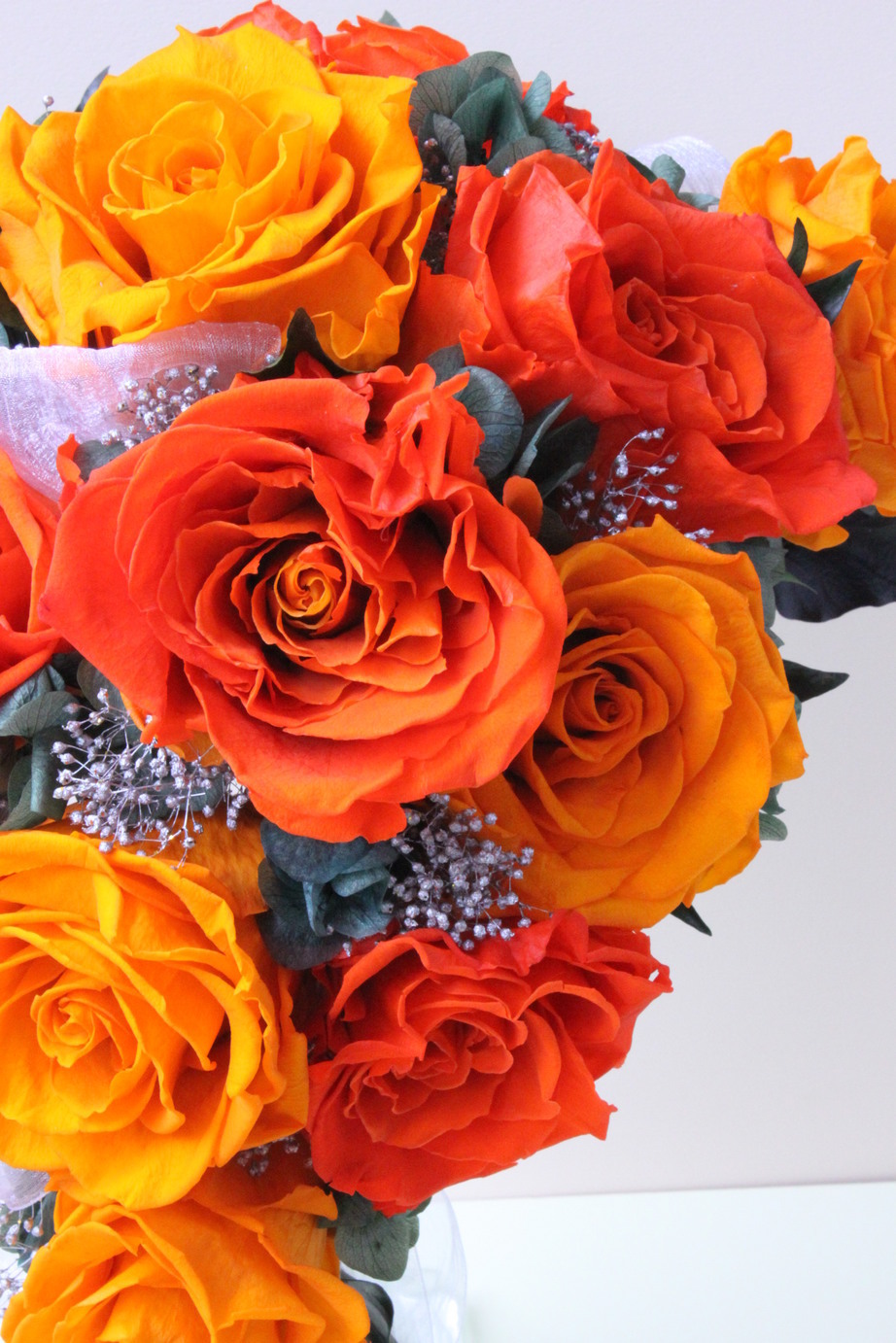 �A���u���b�W���[�Y�@�y�t�����[�A�����W�����g�X�N�[���z