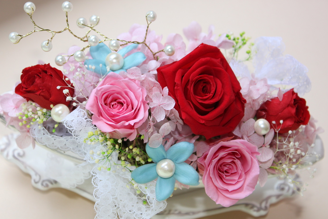 �A���u���b�W���[�Y�@�y�t�����[�A�����W�����g�X�N�[���z