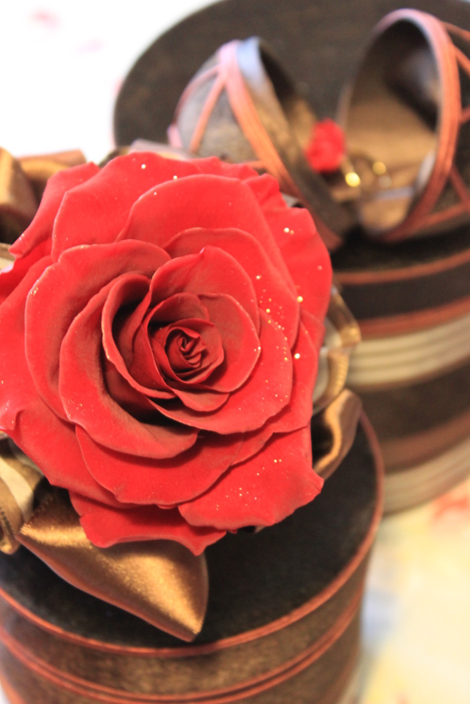 �A���u���b�W���[�Y�@�y�t�����[�A�����W�����g�X�N�[���z