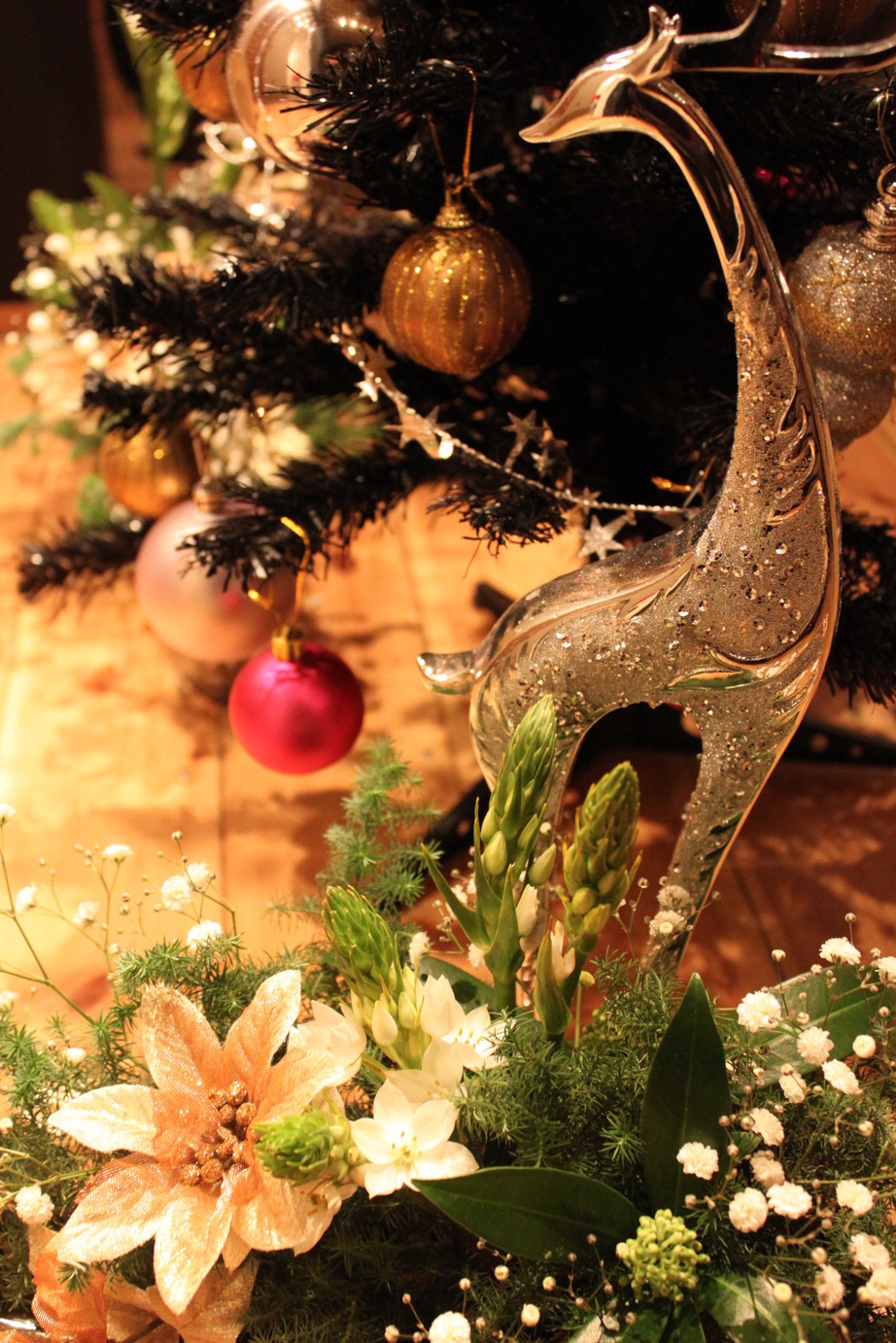 �A���u���b�W���[�Y�@�y�t�����[�A�����W�����g�X�N�[���z