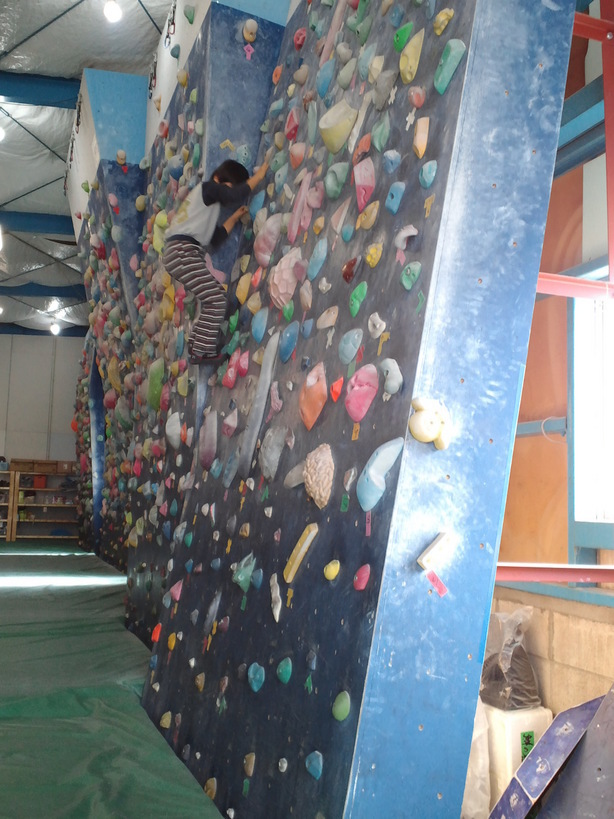 �A���u���b�W���[�Y�@�y�t�����[�A�����W�����g�X�N�[���z