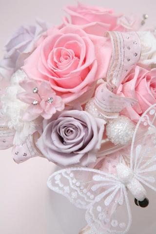 �A���u���b�W���[�Y�@�y�t�����[�A�����W�����g�X�N�[���z