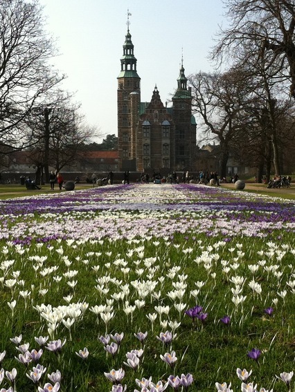 �A���u���b�W���[�Y�@�y�t�����[�A�����W�����g�X�N�[���z