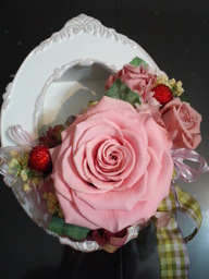 �A���u���b�W���[�Y�@�y�t�����[�A�����W�����g�X�N�[���z