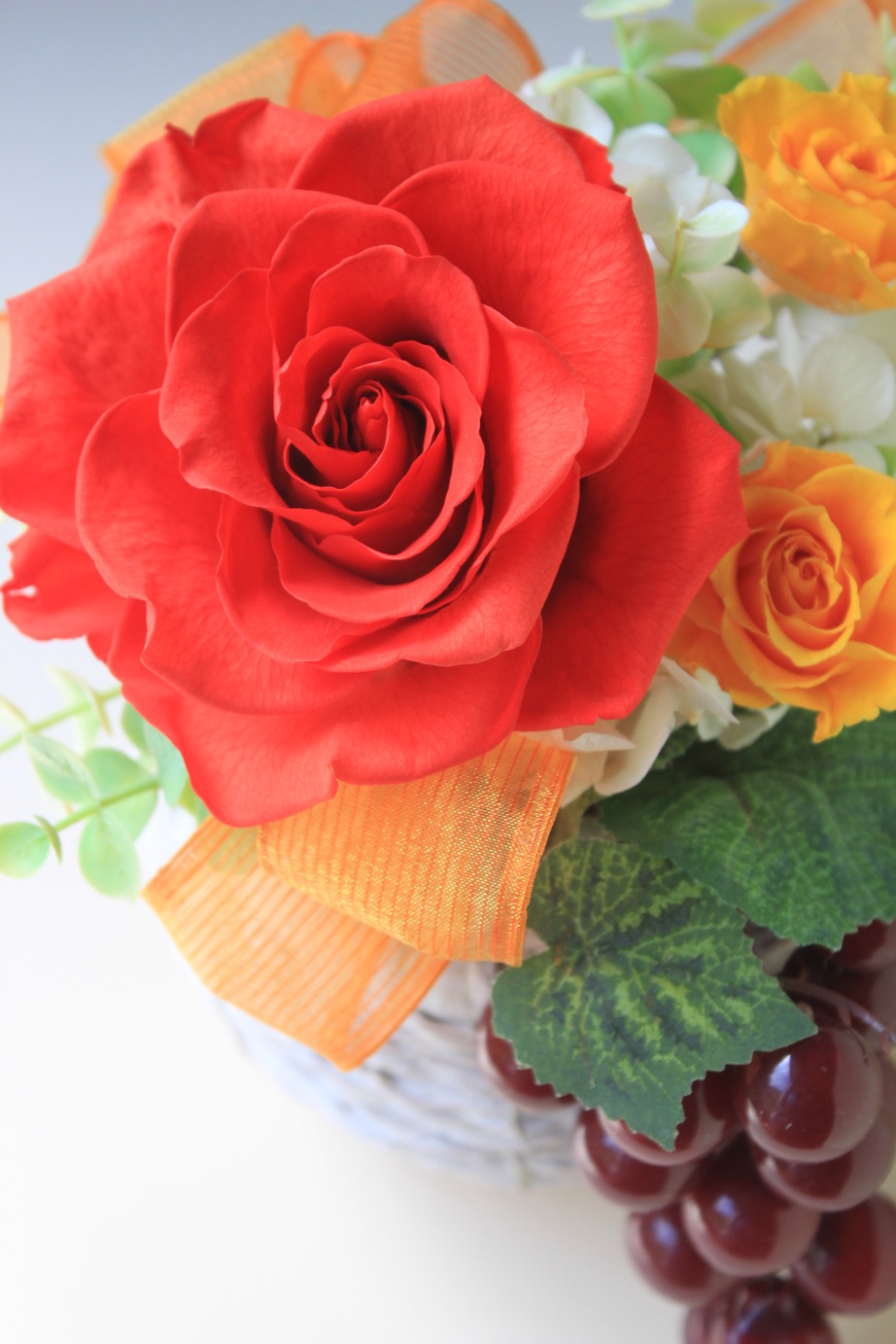 �A���u���b�W���[�Y�@�y�t�����[�A�����W�����g�X�N�[���z