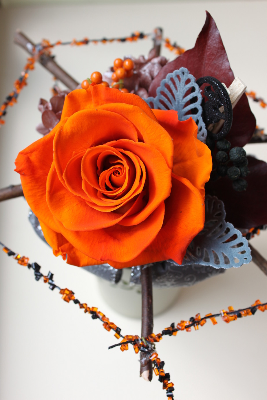 �A���u���b�W���[�Y�@�y�t�����[�A�����W�����g�X�N�[���z