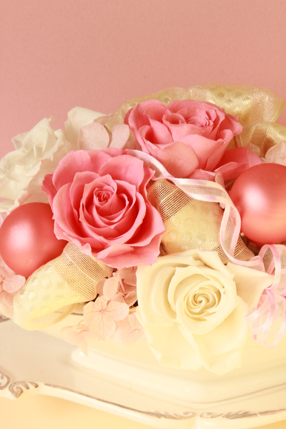 �A���u���b�W���[�Y�@�y�t�����[�A�����W�����g�X�N�[���z