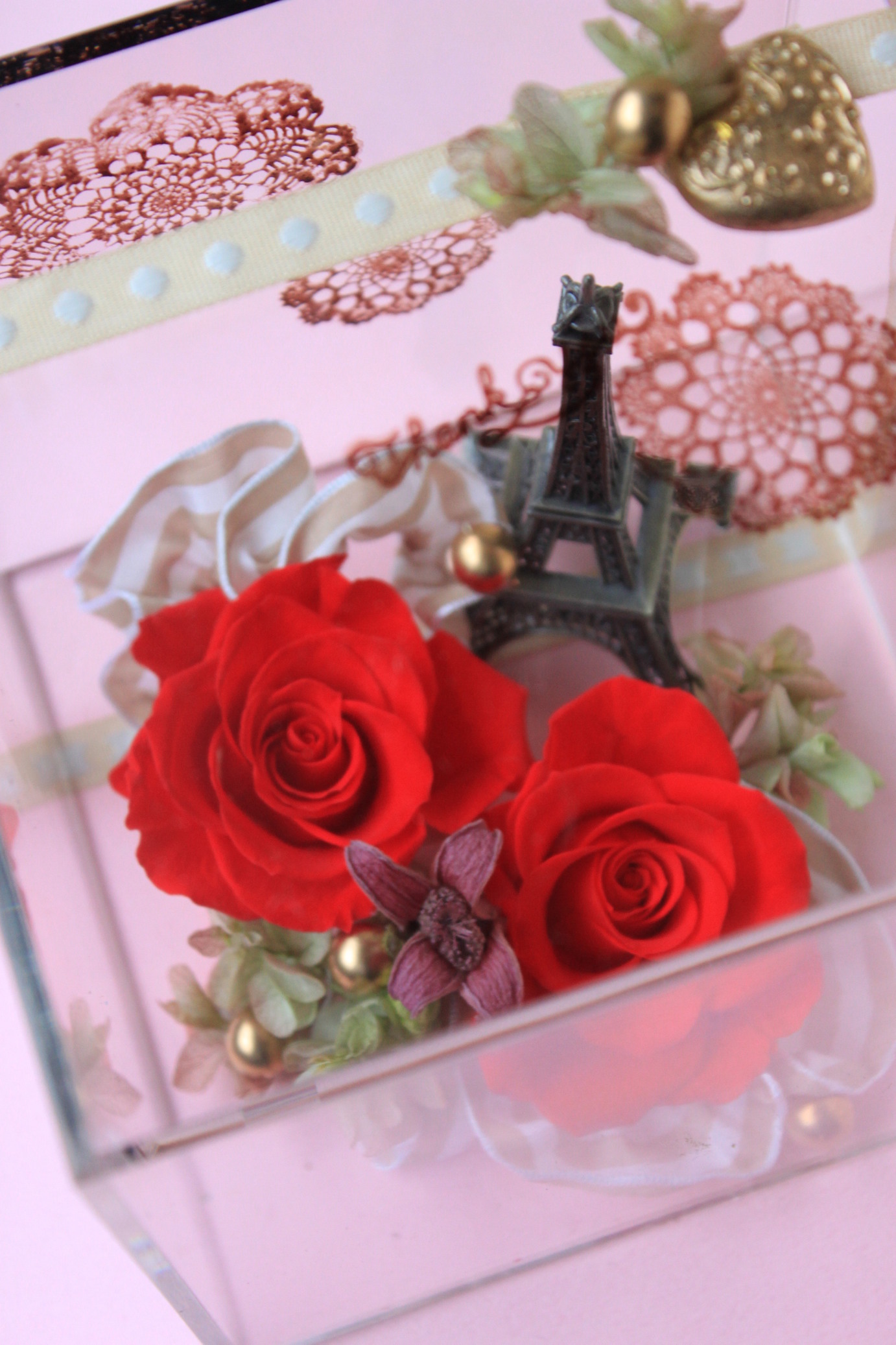 �A���u���b�W���[�Y�@�y�t�����[�A�����W�����g�X�N�[���z