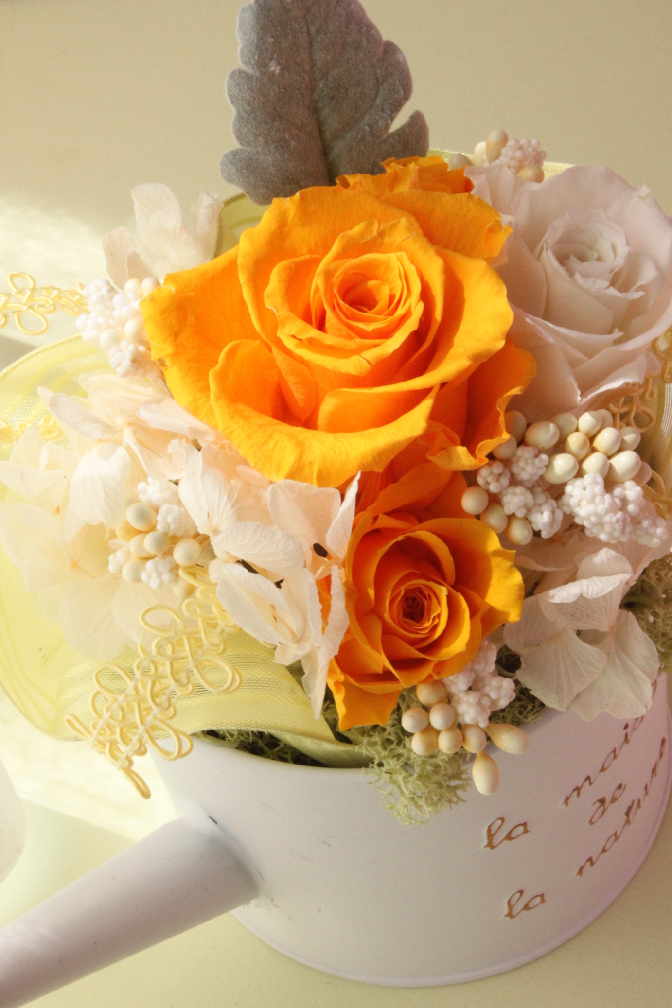 �A���u���b�W���[�Y�@�y�t�����[�A�����W�����g�X�N�[���z