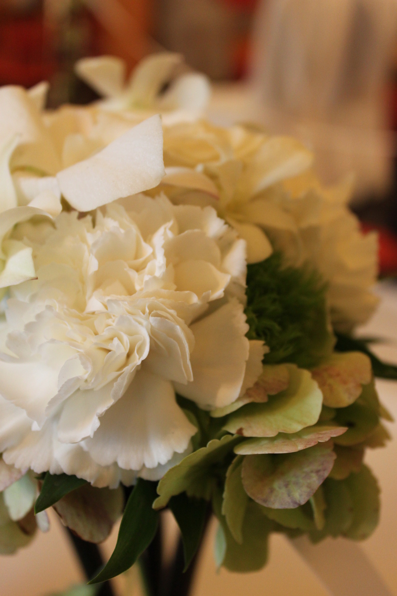 �A���u���b�W���[�Y�@�y�t�����[�A�����W�����g�X�N�[���z