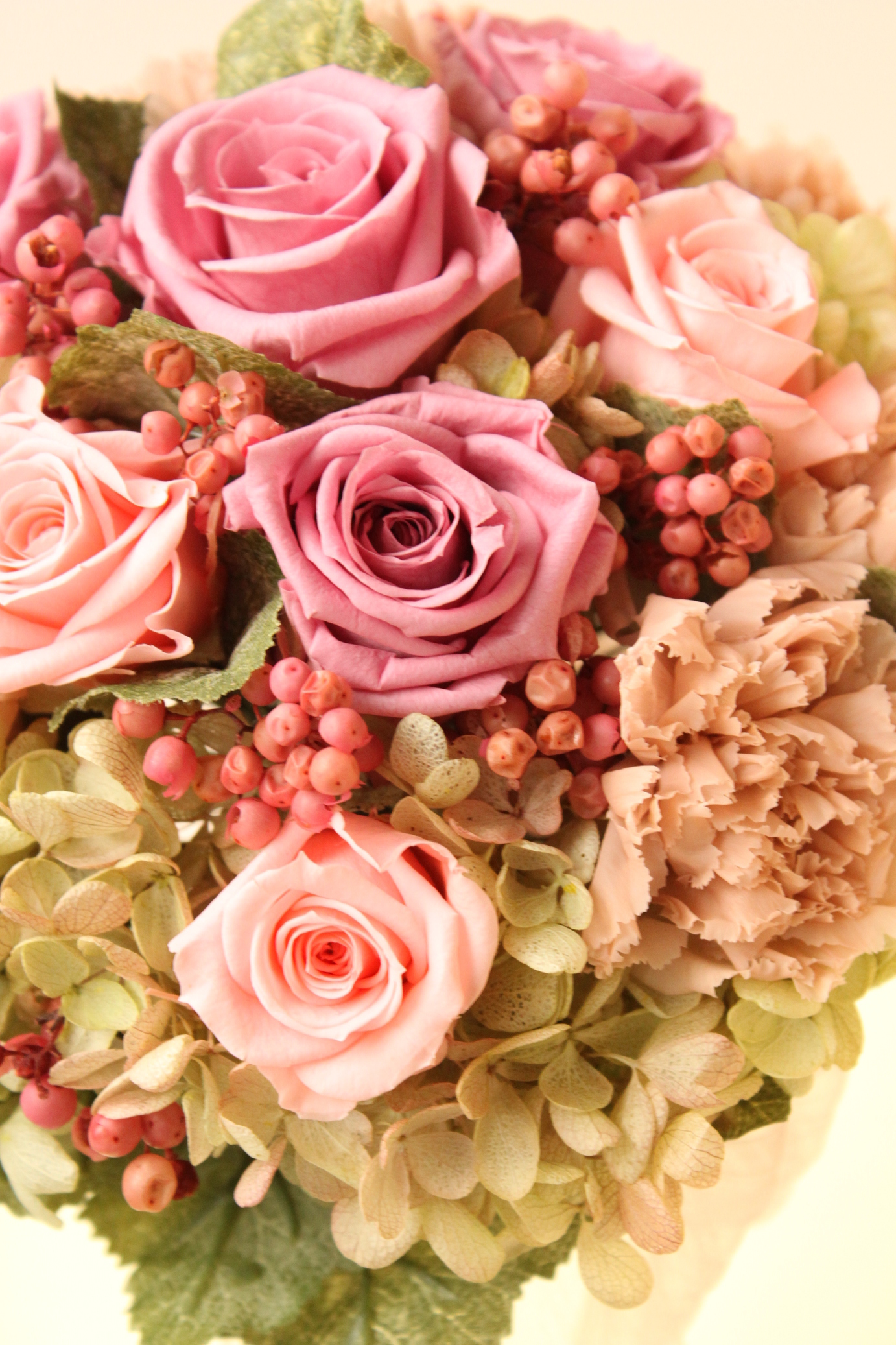 �A���u���b�W���[�Y�@�y�t�����[�A�����W�����g�X�N�[���z