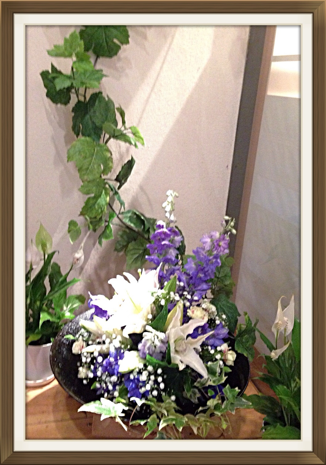 �A���u���b�W���[�Y�@�y�t�����[�A�����W�����g�X�N�[���z